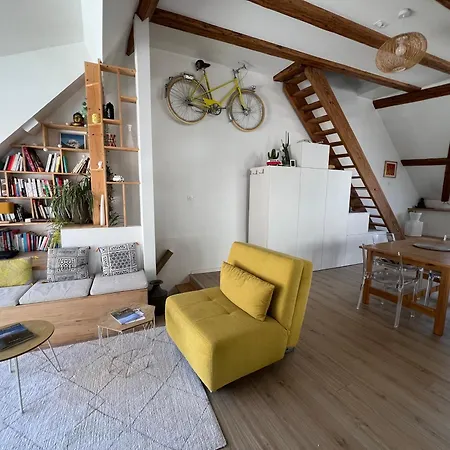Апартаменты Magnifique Loft Centre-ville Рибовиль