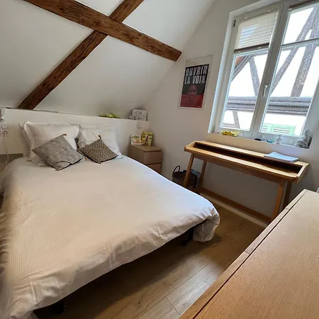 Magnifique Loft Centre-ville *